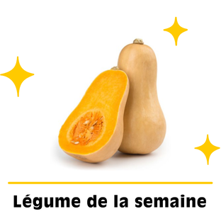 Courge Butternut petit calibre bio origine France