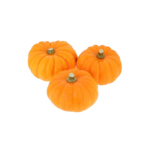 Courges Jack Be Little Bio Origine France