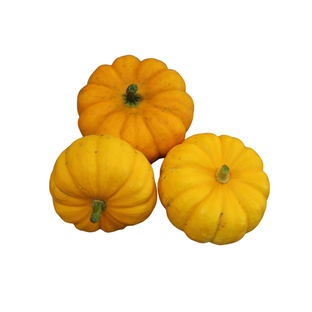 Courges Jack Be Little Bio Origine France