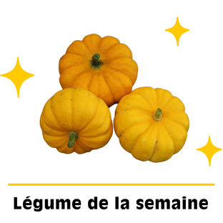Courges Jack Be Little Bio Origine France