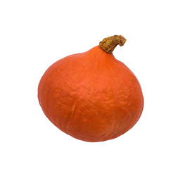 Courge Potimarron Petit Calibre Bio Origine France