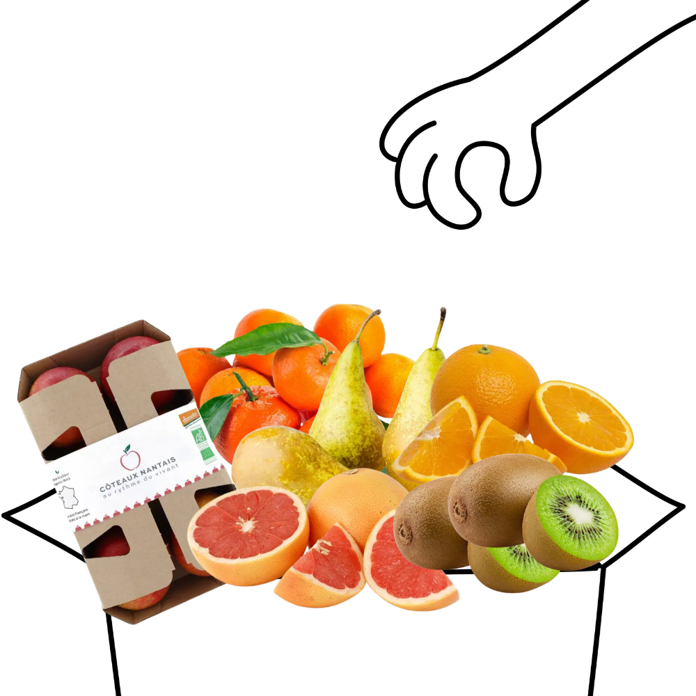 Grand panier de fruits bio - 4 à 5 personnes