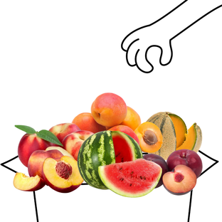 Grand panier de fruits bio - 4 à 5 personnes