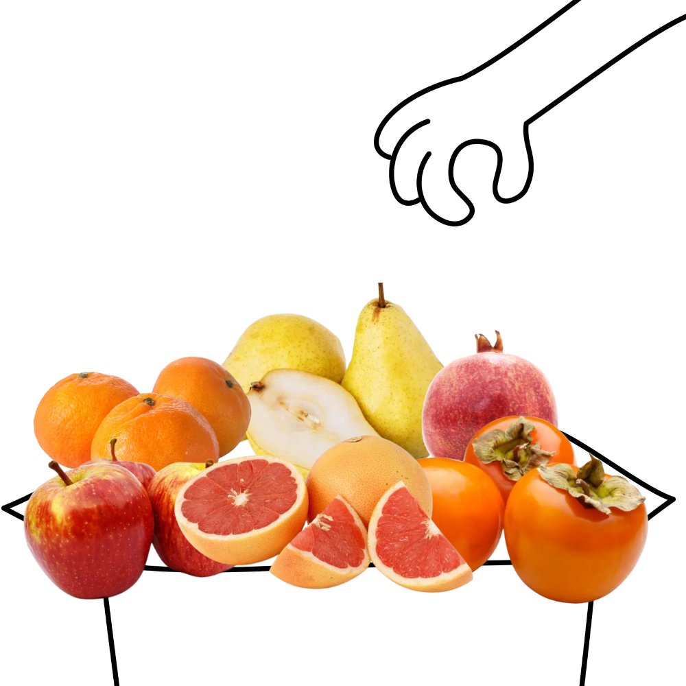 Grand panier de fruits bio - 4 à 5 personnes