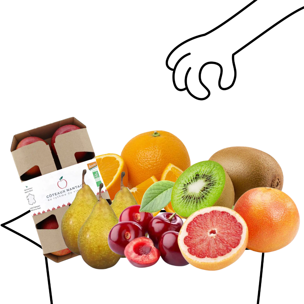 Grand panier de fruits bio - 4 à 5 personnes