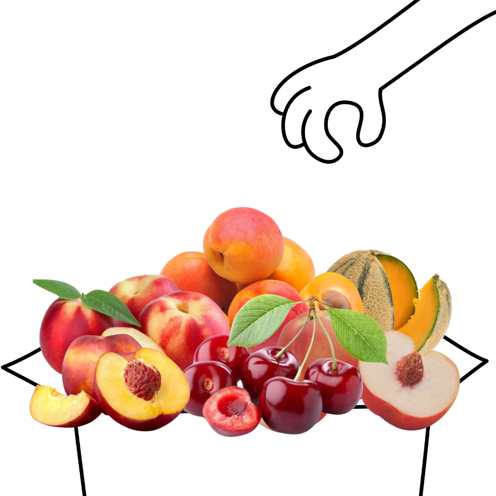 Grand panier de fruits bio - 4 à 5 personnes