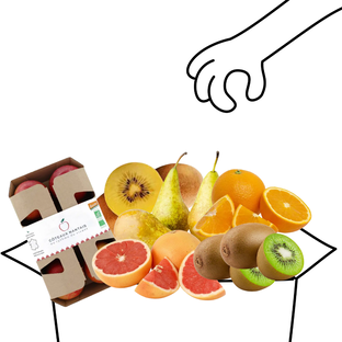 Grand panier de fruits bio - 4 à 5 personnes