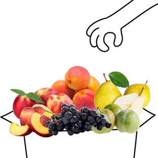 Grand panier de fruits bio - 4 à 5 personnes