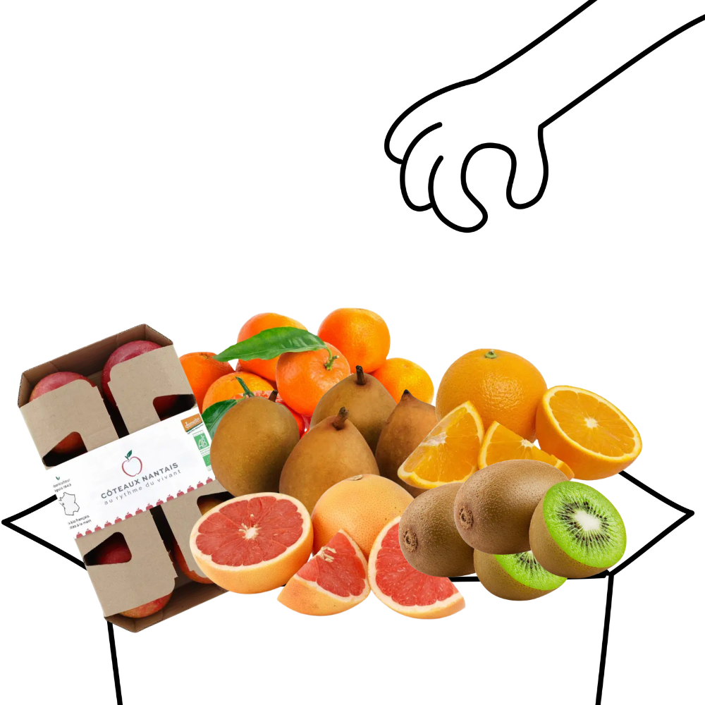 Grand panier de fruits bio - 4 à 5 personnes