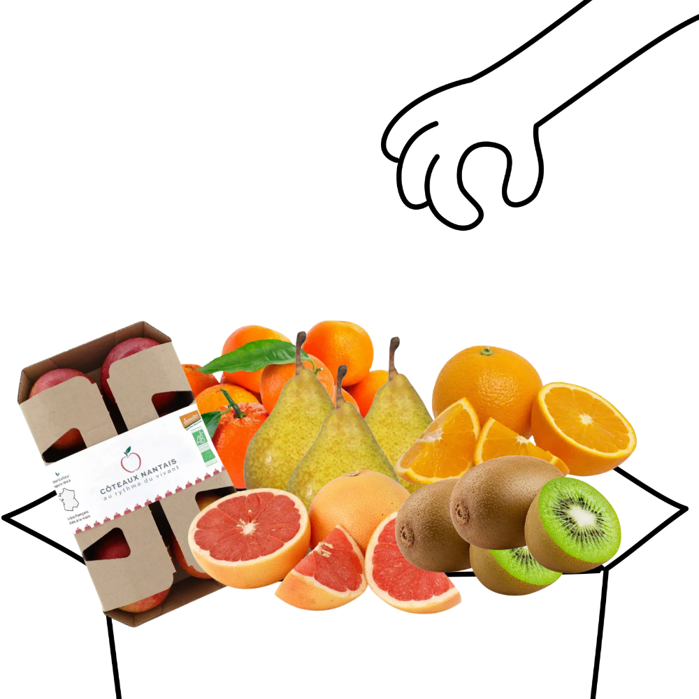 Grand panier de fruits bio - 4 à 5 personnes