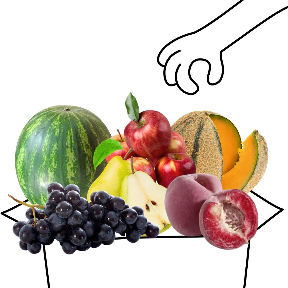 Grand Panier de Fruits Bio - 4 à 5 personnes