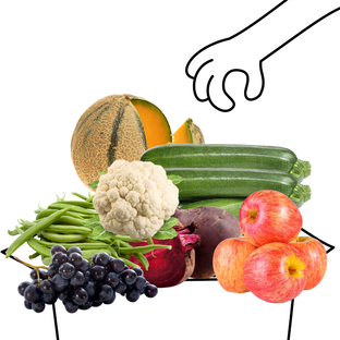 Grand Panier de Fruits et Légumes Bio - 3 à 4 personnes