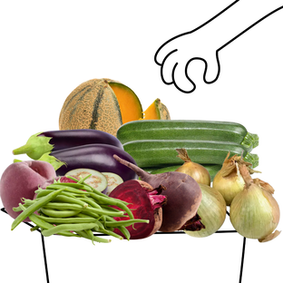 Grand Panier de Fruits et Légumes Bio - 3 à 4 personnes