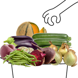 Grand Panier de Fruits et Légumes Bio - 3 à 4 personnes