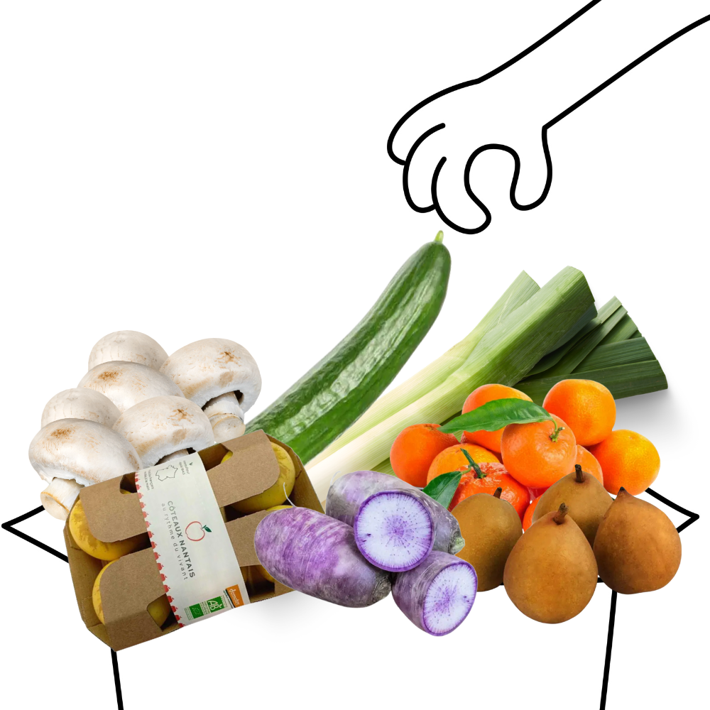 Grand panier de fruits et légumes bio - 3 à 4 personnes