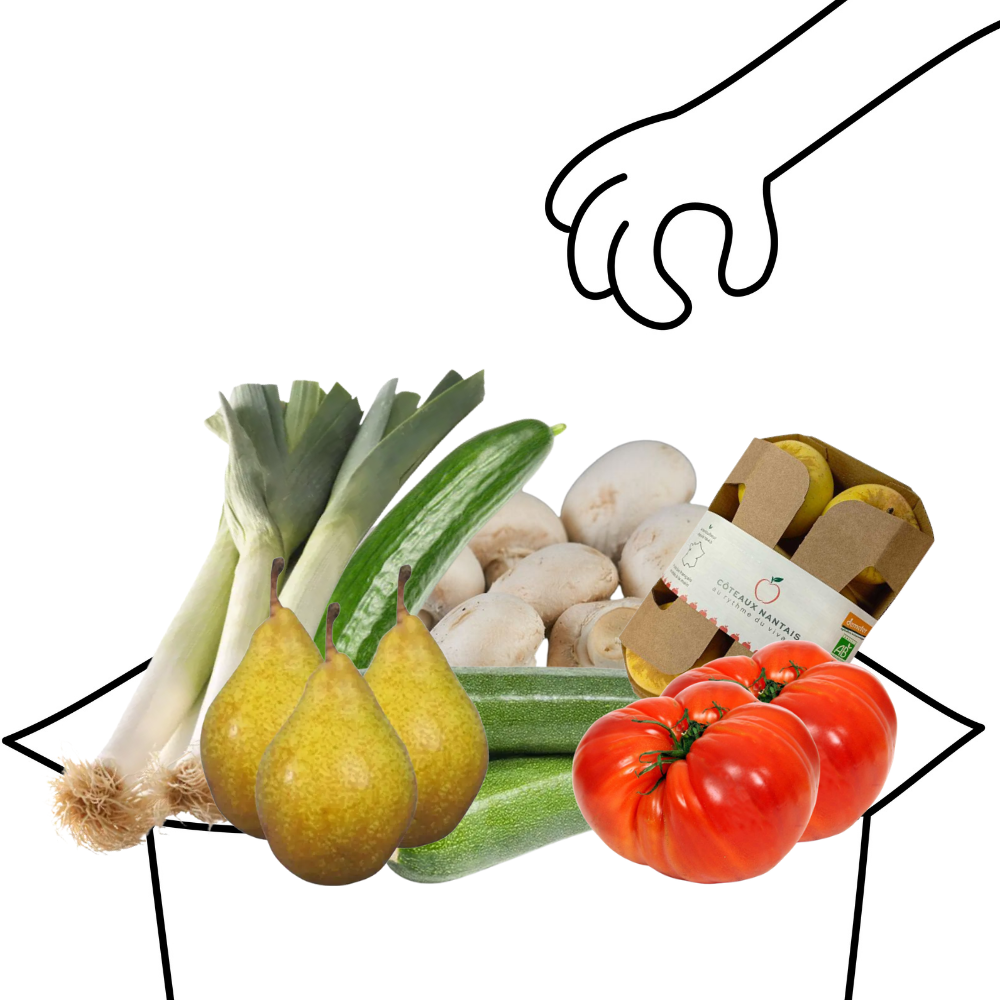 Grand panier de fruits et légumes bio - 3 à 4 personnes