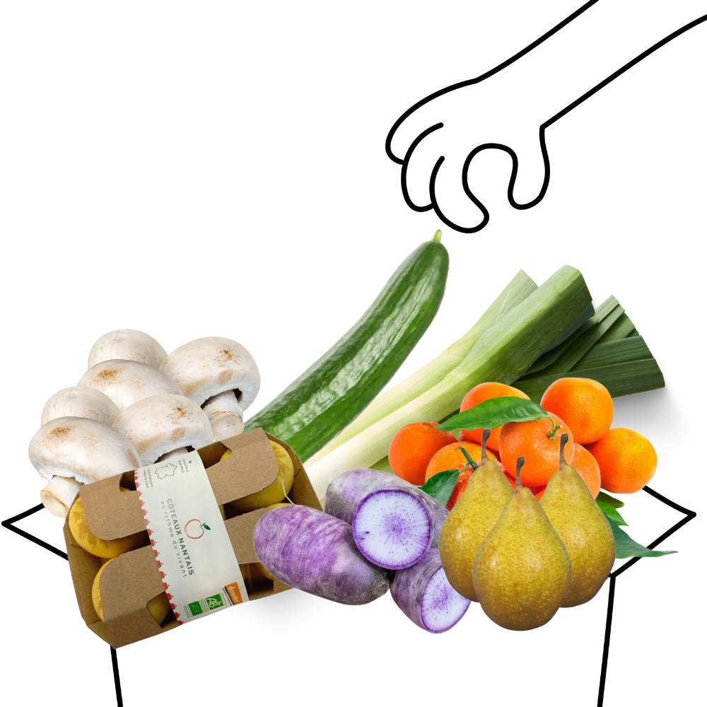 Grand panier de fruits et légumes bio - 3 à 4 personnes