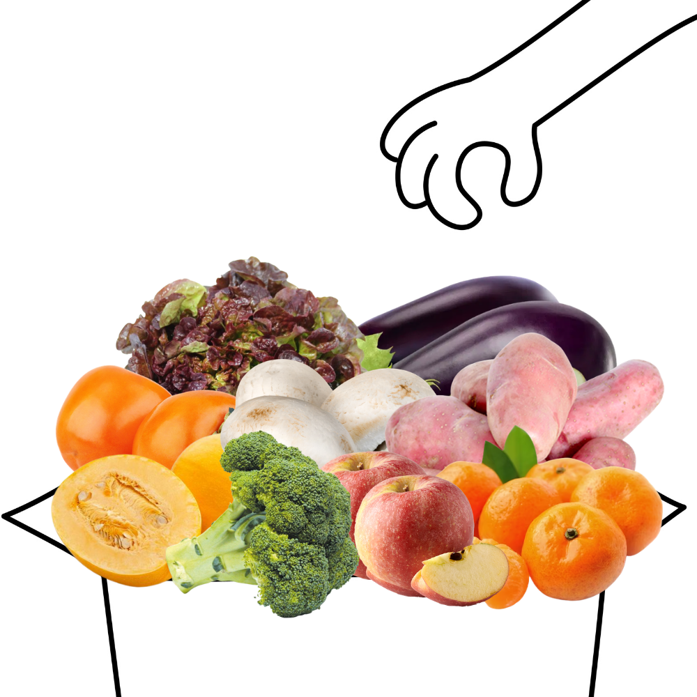 Grand panier de fruits et légumes bio - 3 à 4 personnes