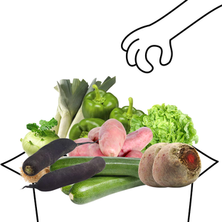 Grand panier de légumes bio - 4 à 5 personnes
