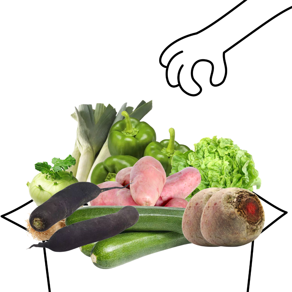Grand panier de légumes bio - 4 à 5 personnes