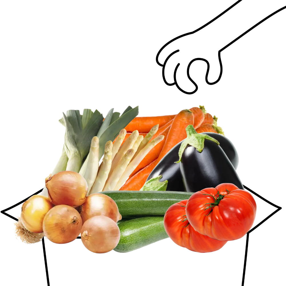 Grand panier de légumes bio - 4 à 5 personnes