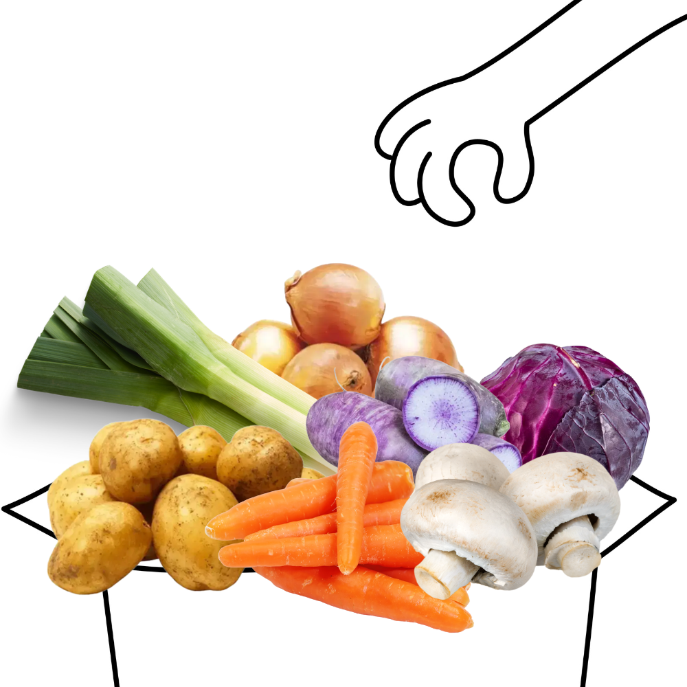 Grand panier de légumes bio - 4 à 5 personnes
