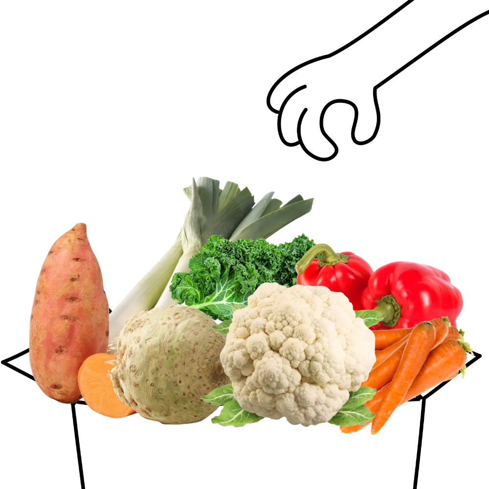 Grand panier de légumes bio - 4 à 5 personnes