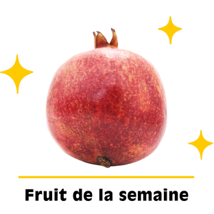 Grenade Bio Origine France
