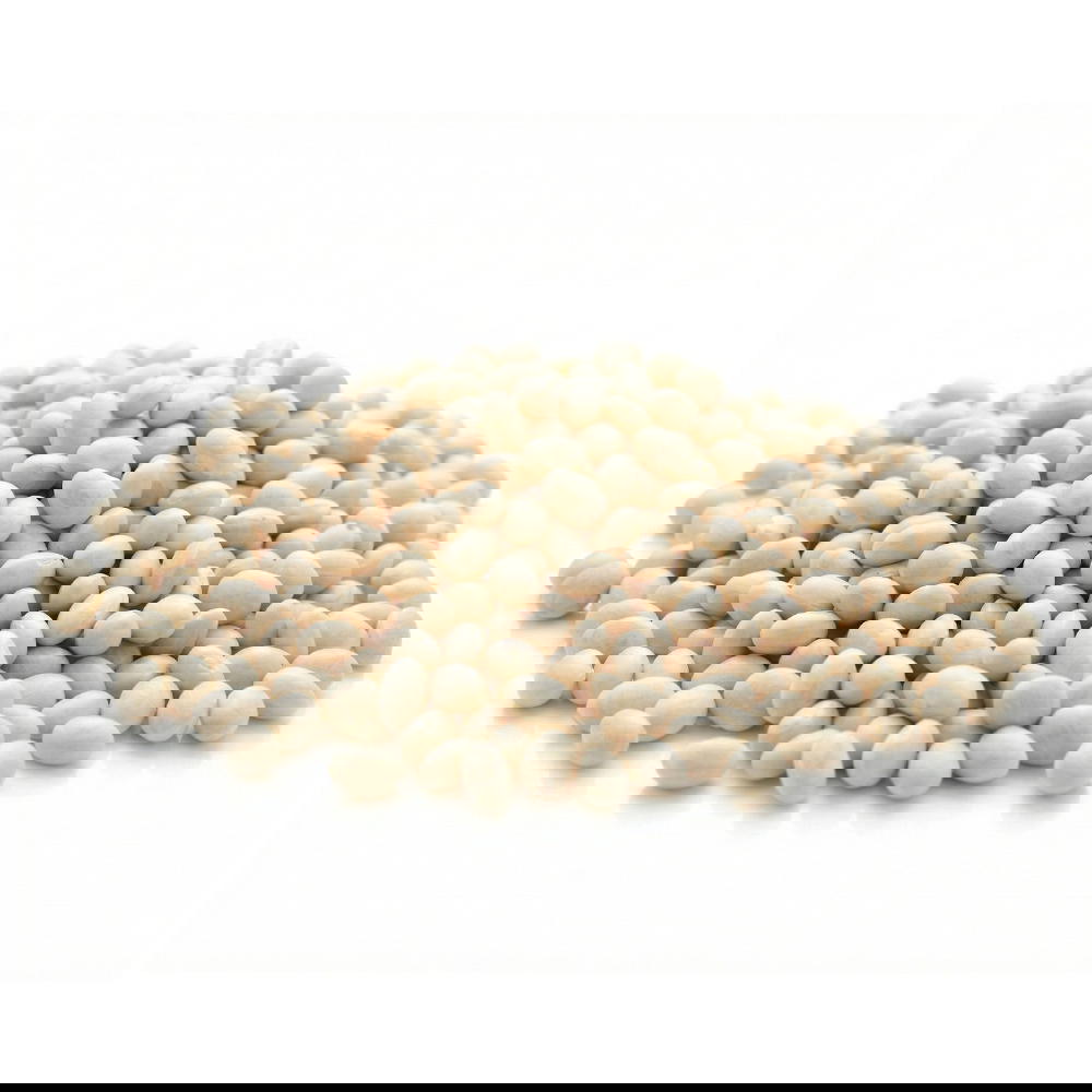 Haricots coco blancs bio en sachet kraft