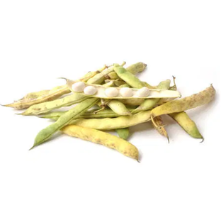 Haricots coco bio origine France