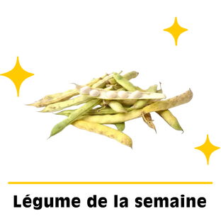 Haricots coco bio origine France