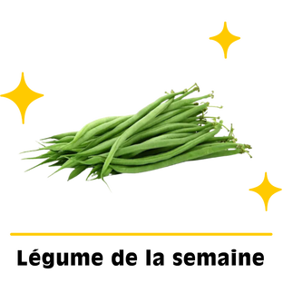 Haricots verts bio origine France