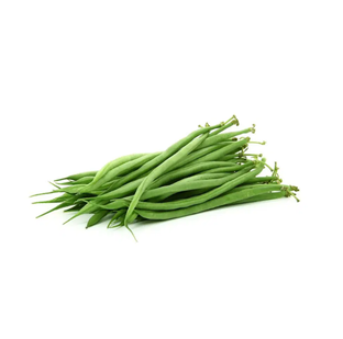 Haricots verts bio origine France