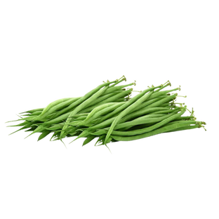 Haricots verts bio origine France