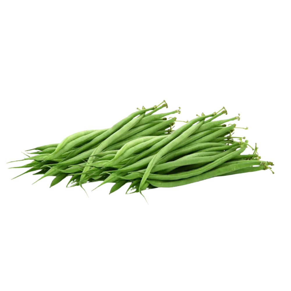 Haricots verts bio origine France