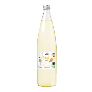 Kombucha gingembre citron bio et équitable