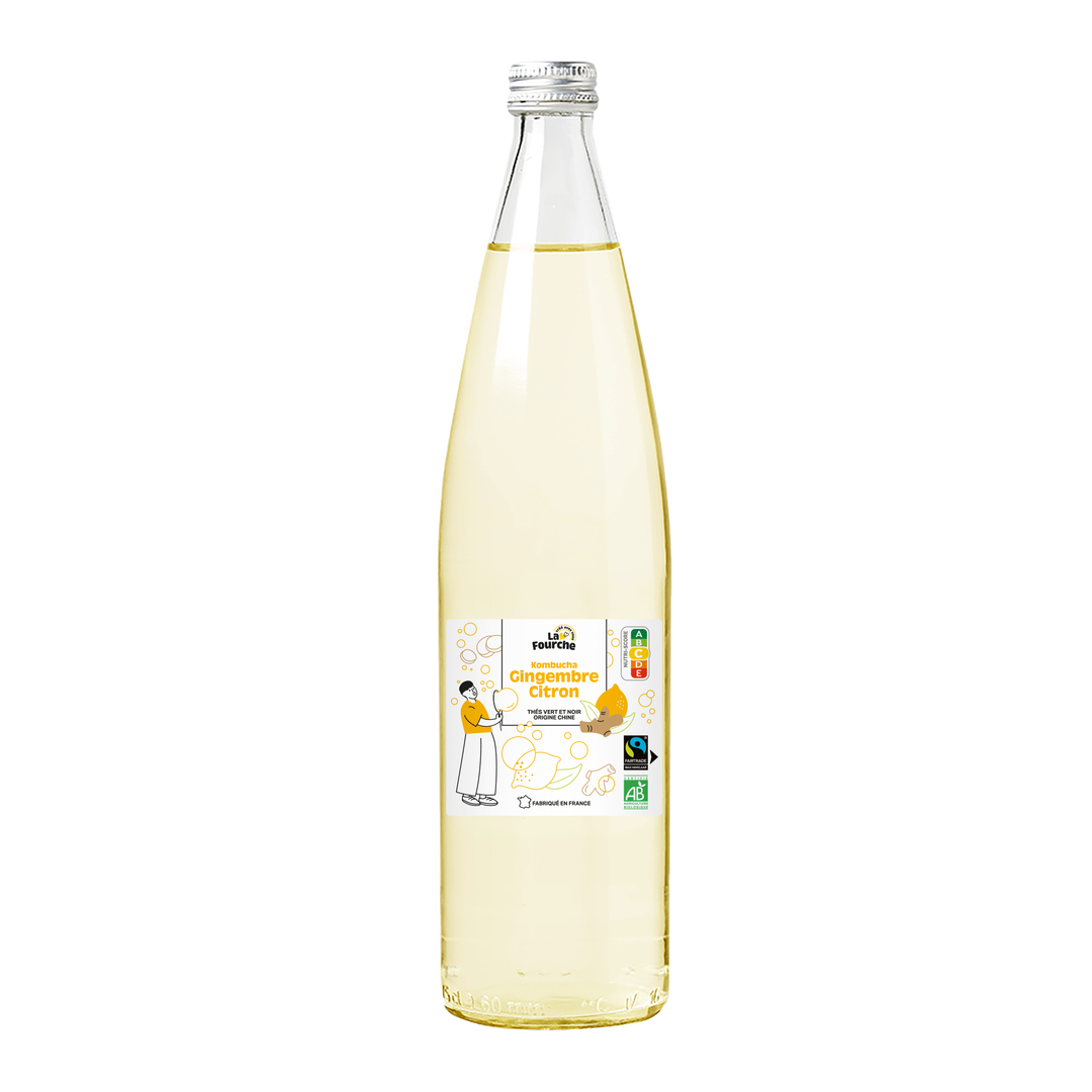 Kombucha gingembre citron bio et équitable