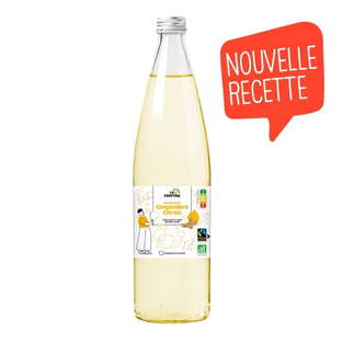 Kombucha gingembre citron bio et équitable