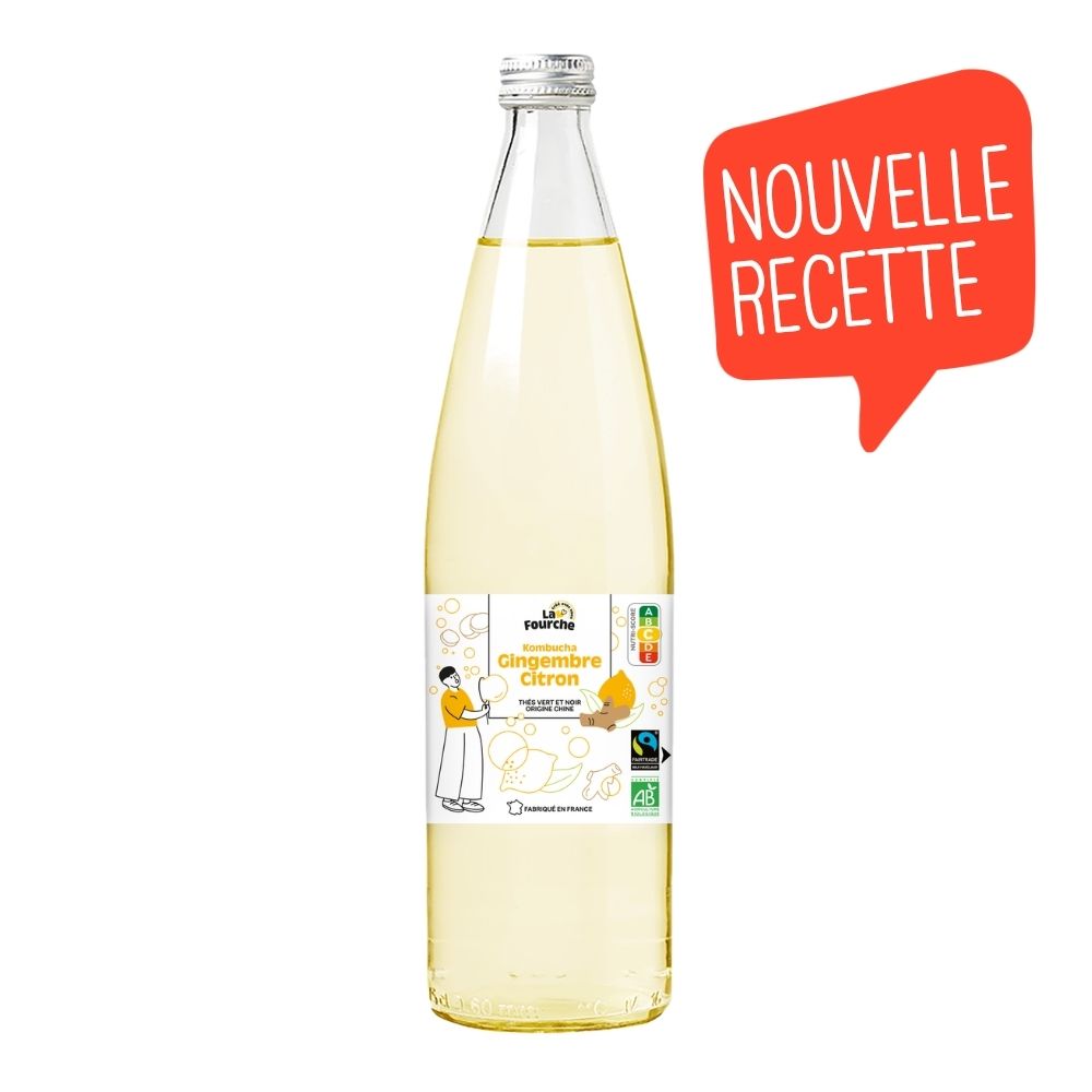 Kombucha gingembre citron bio et équitable