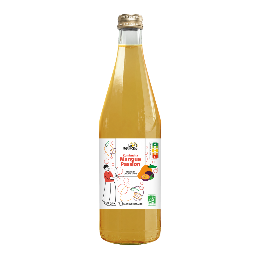 Kombucha mangue passion bio