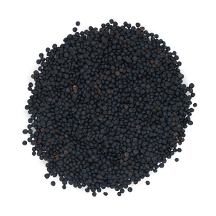 Lentilles noires beluga bio origine France en sachet kraft