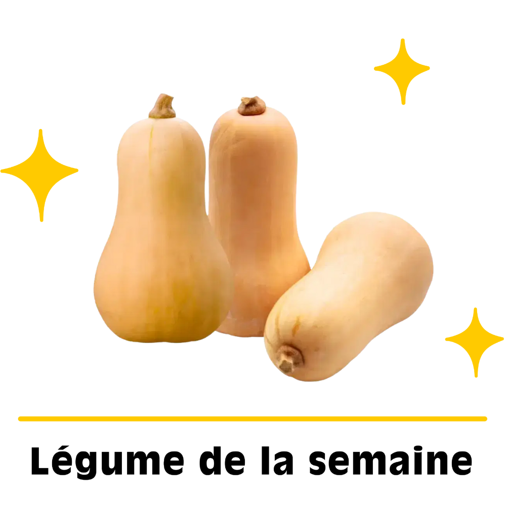 Lot de courges Butternut petit calibre bio origine France x 3