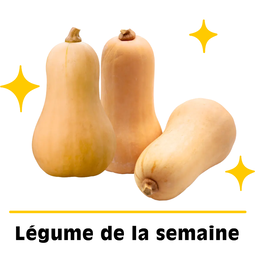 Lot de Courges Butternut Petit Calibre Bio Origine France x 3