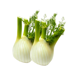 Lot de fenouils bio origine France x 2