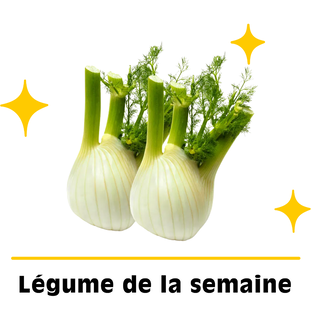 Lot de fenouils bio origine France x 2