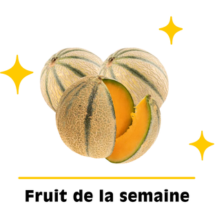 Lot de melons petits calibres bio origine France x 3