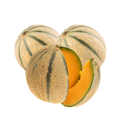 Lot de Melons Bio Origine France x 3
