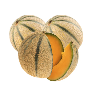 Lot de melons bio origine France x 3