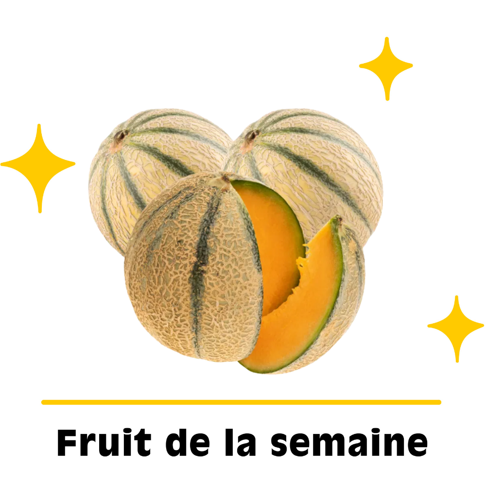 Lot de melons bio origine France x 3