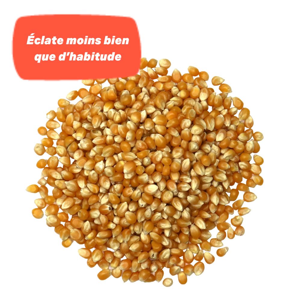 Maïs Pop Corn Bio En Sachet Kraft